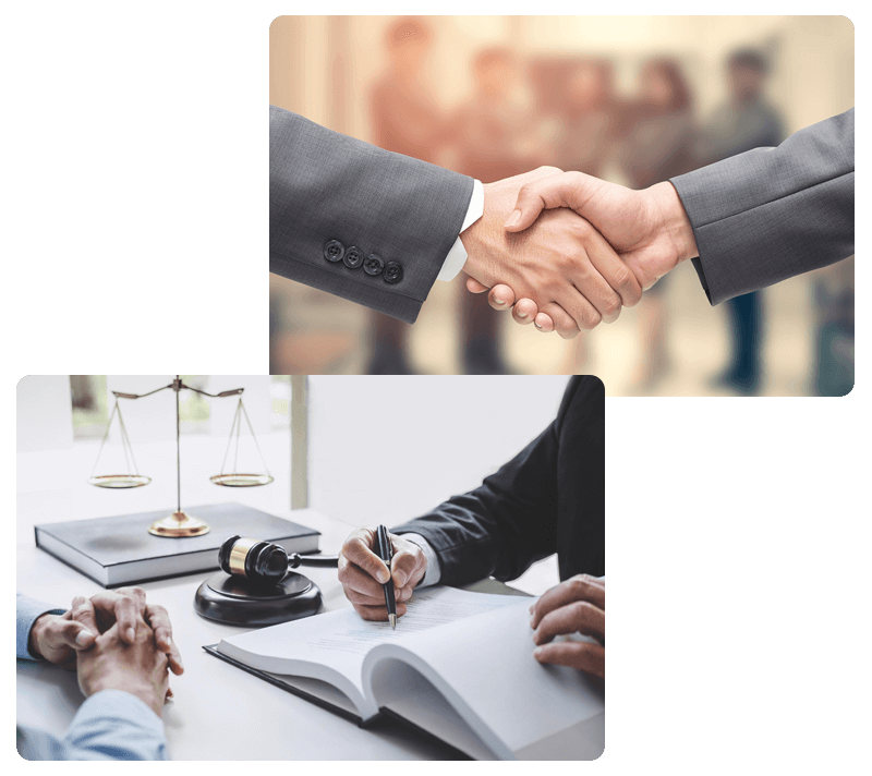 Advocate Radha Chaudhary